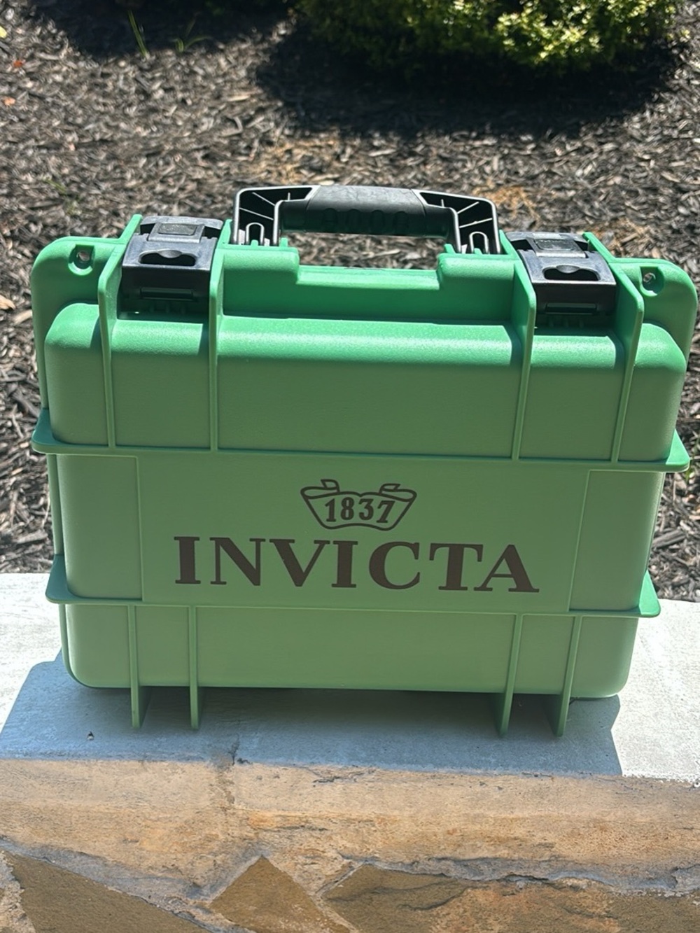 Invicta Hard Protective Case in Light Green with Black Handle